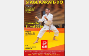 STAGE EMMANUEL DE FELICE