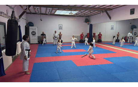 KARATE BABY VENDREDI 17H30