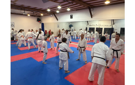 KARATE TRADITIONNEL ADULTE JEUDI 19H30